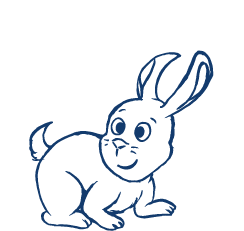 MLP-Rabbit