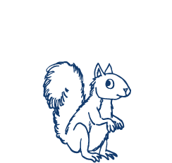 MLP-Squirel