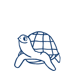 MLP-Turtle