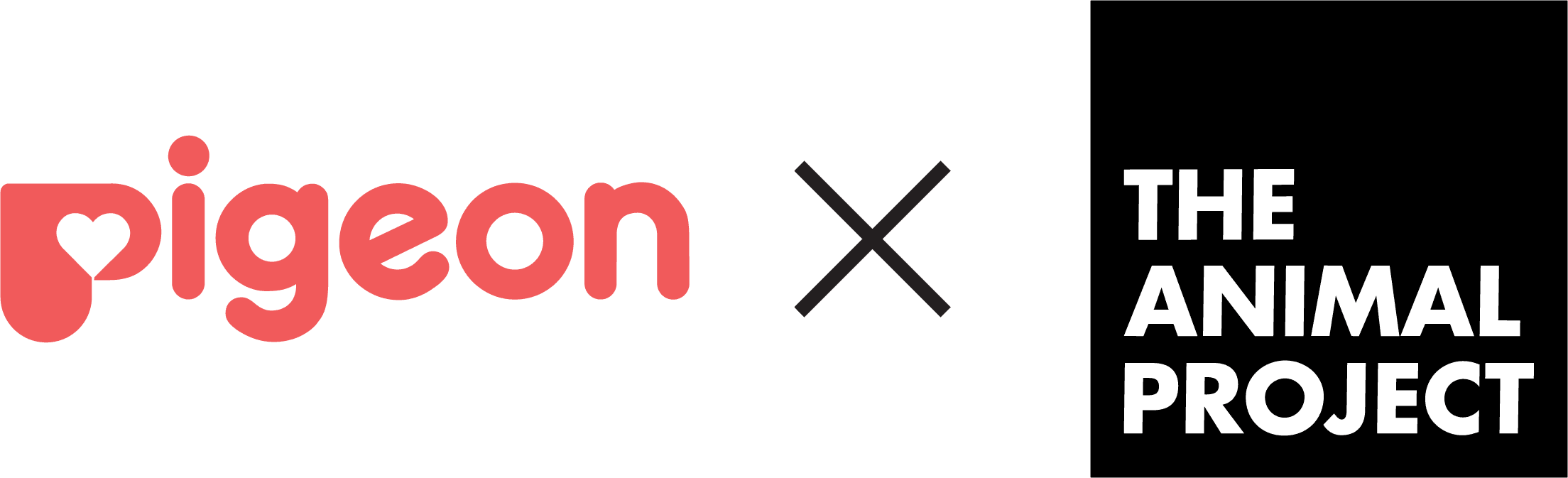 Pigeon-x-TAP-v2