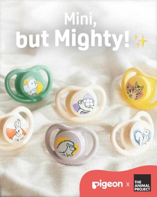 Mini in size, mighty in purpose! 

🪶 Ultralight for comfort.
🌬️ Better airflow for delicate skin.
🌏 Kinder to the planet.
🖌️ Designed by artists with special needs from @theanimalprojectsg 

💛 Thoughtful in every detail, made to care in every way — just for your little ones.

Learn more about the Pigeon Minilight Pacifiers: Sustainable Collection via the link in our bio.

#pigeonsg #PigeonxTheAnimalProject #MiniLightPacifier #MinilightSustainable #BabyEssentials #EcoFriendly